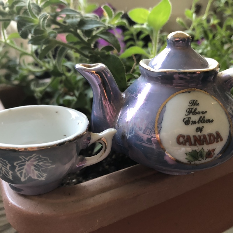 Graphic Image Design and Editing